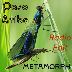 Metamorph - Radio Edit (Live)