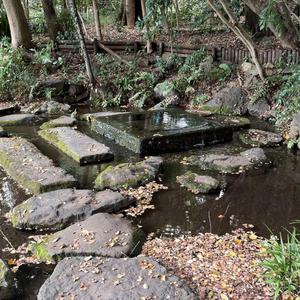井の頭恩賜公園散歩〜お茶の水の井戸（Inokashira Onshi Park Walk - Tea Water Well）