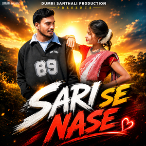 Sari Se Nase