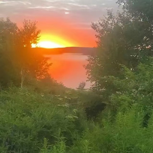 Im Living to Love You