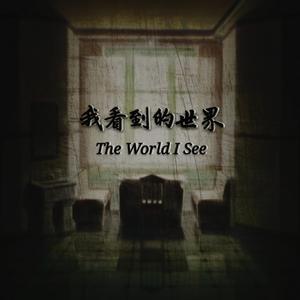 我看到的世界