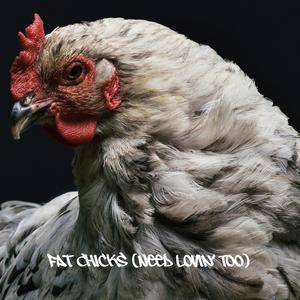 Fat Chicks (Need Lovin' Too)