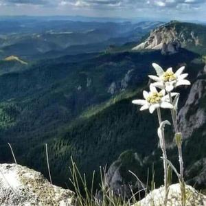 Амжиж л хайрлаарай