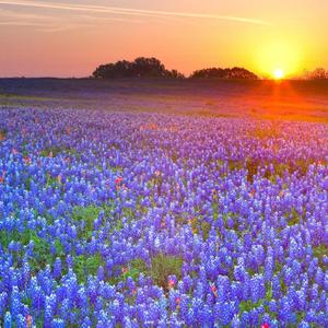 给电影人的情书（完整版）（翻自 单依纯）