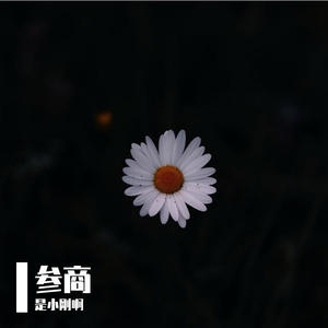 参商