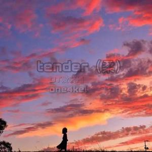 tender（柔）