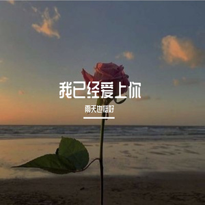 我已经爱上你