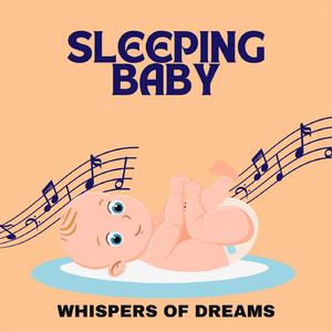 Naptime Nocturnes