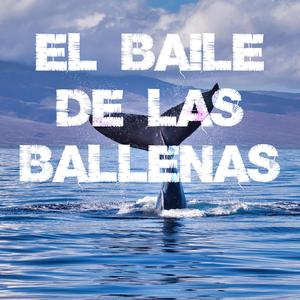 El Baile de las Ballenas