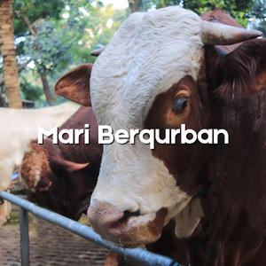 Mari Berqurban