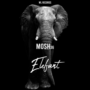 Elefant
