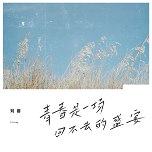 青春是一场回不去的盛宴