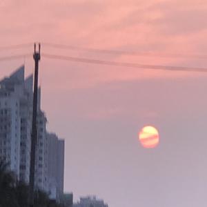 在你眼中我是谁