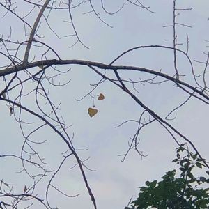 烂尾（Prod by Aria）