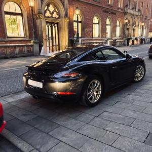 PROFESSIONAL (Instrumental)