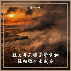 拉长耳朵提高警觉神经细胞全面戒备