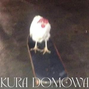 Kura Domowa