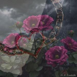 Zincirlerimi Kırıyorum