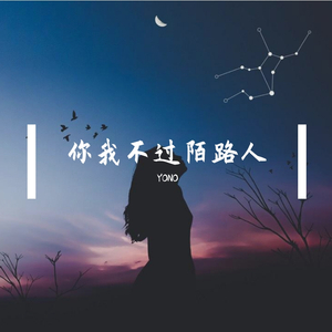 你我不过陌路人