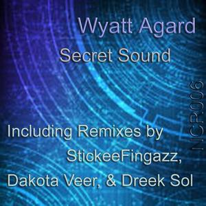Secret Sound (Dreek Sol Remix)