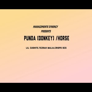 Punda (Donkey)