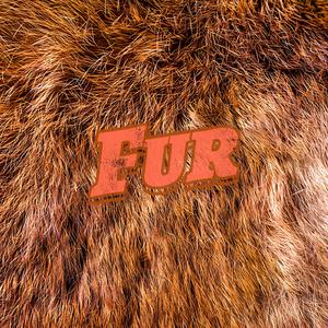 Fur