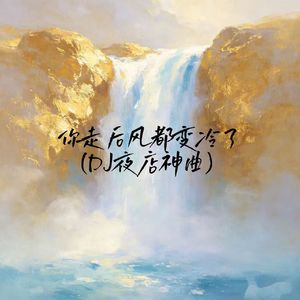 你走后风都变冷了(DJ夜店神曲)