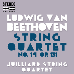 String Quartet No.14 in D Major, Op.131:II. Allegro molto vivace