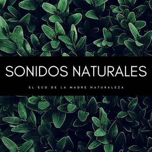 Vegetación Increíble