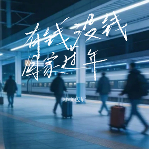 有钱没钱回家过年