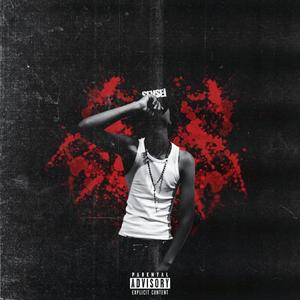 Not a member (feat. Parkervs*)