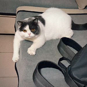 DJ ANXVAR - VAPO DO VAPO (Cover)