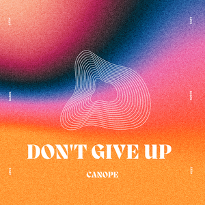 Don't Give Up