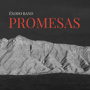 Promesas