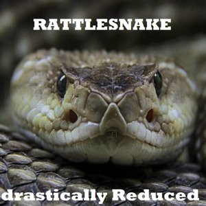 Rattlesnake