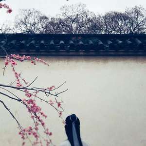 愛にできることはまだあるかい