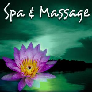 Spa and Massage