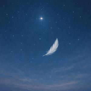 놓아야 할 것들, 남겨진 것들