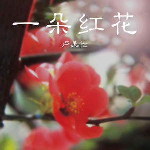 一朵红花
