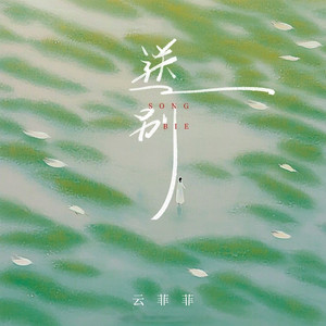 送别 (DJ九零版)