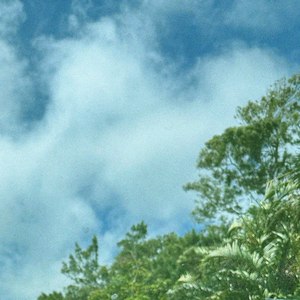 Mejiro - Live at Hanuman Maui