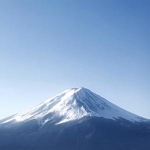 藏匿于森林深处