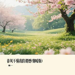 春风不懂我的遗憾(烟嗓版)