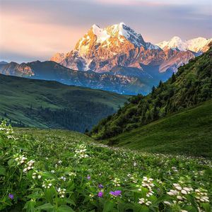 只盼今生再相逢