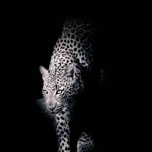 Aurelios Remix-（早就听腻了 remix）