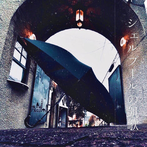 ブルカニロ=コード