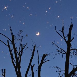 想和你一起看星星到落叶