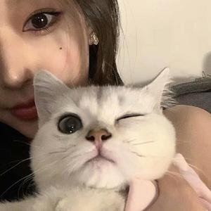 夜间养耳格调 (越南鼓版)