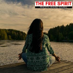 Mysterious Companion (Solo Piano E Minor)