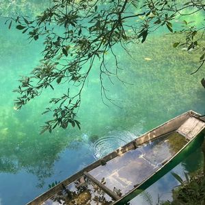 野蛮生长的月芒